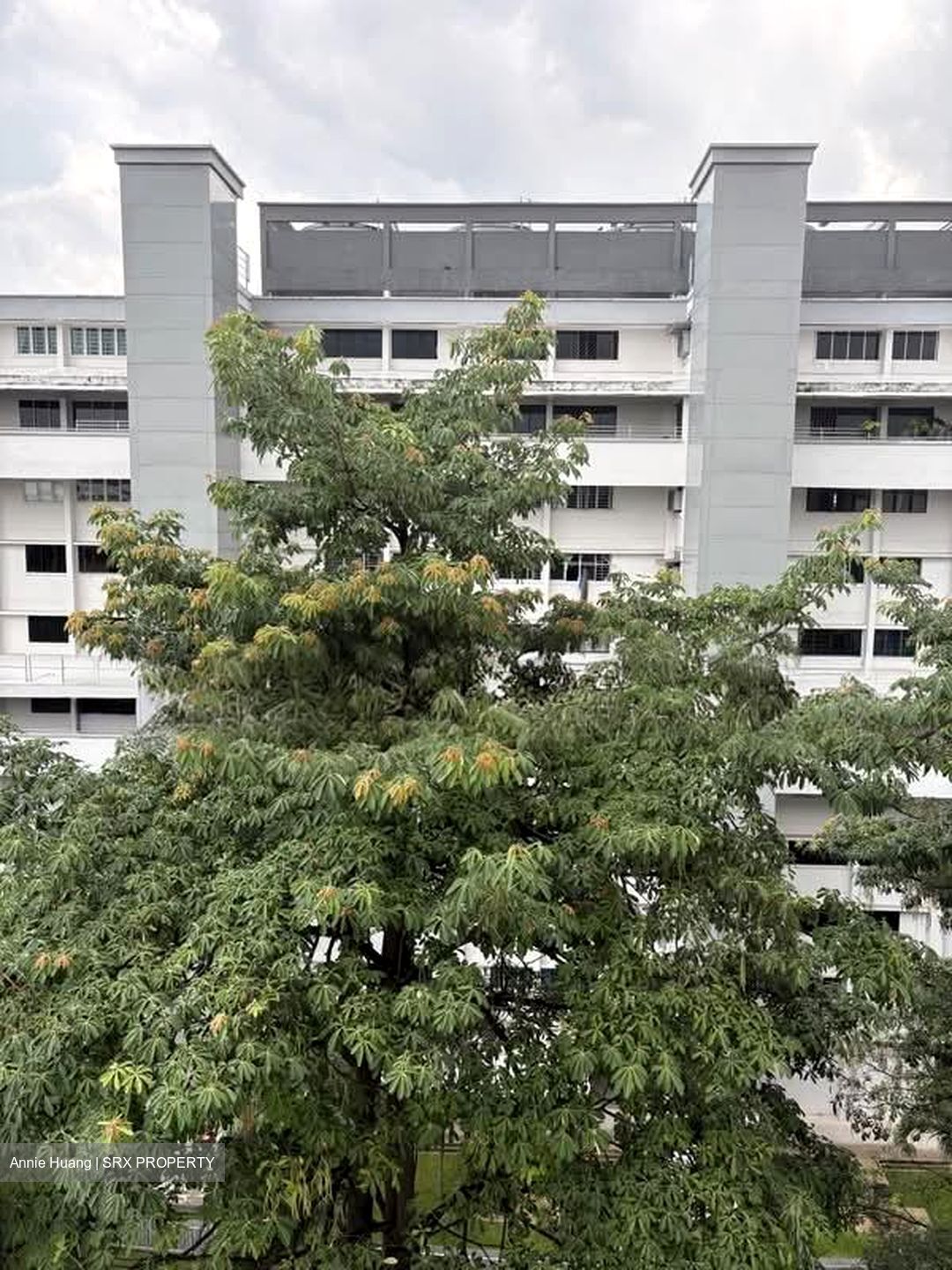 Blk 178 KEBUN BARU LINK 2 (Ang Mo Kio), HDB 4 Rooms #605445911